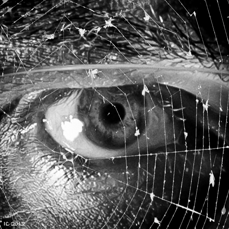 (mein) Auge hinter Spinnennetz