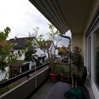 ...mein Balkon...