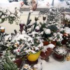 Mein Balkon (Garten) im weissen Kleid