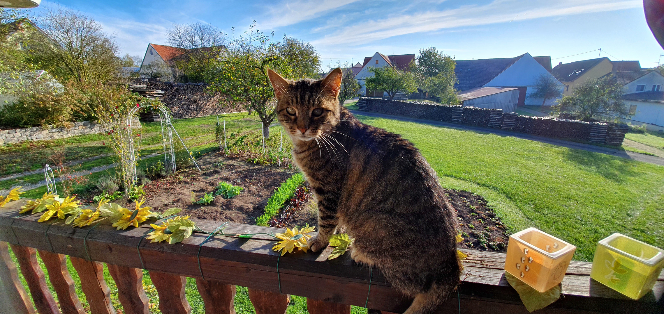 Mein Balkon, mein Garten