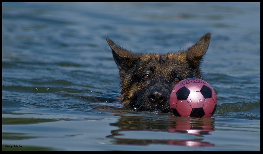 Mein Ball