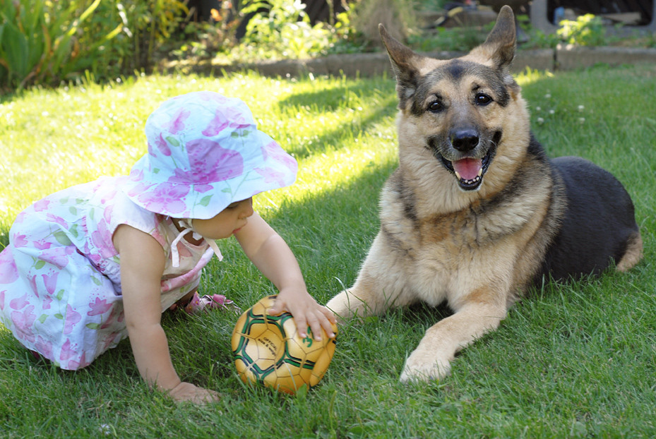 mein Ball Teil 2