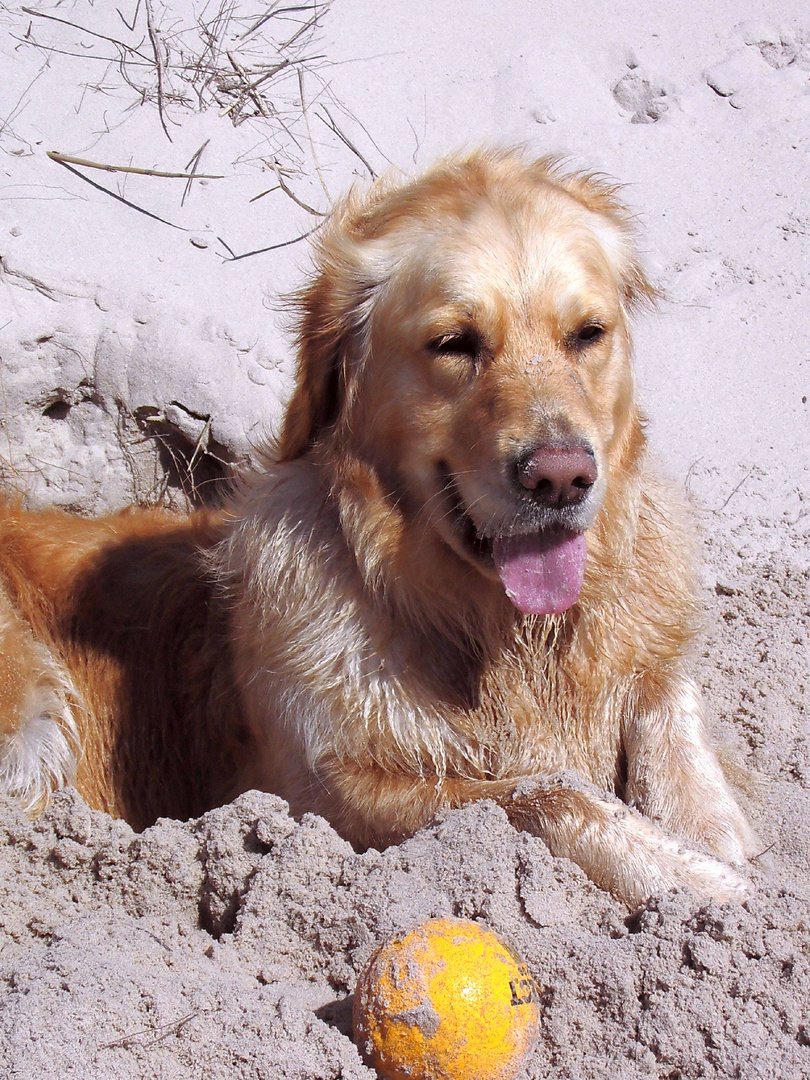 mein Ball,meine Strand,meine Düne