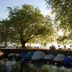 mein bankgeheimnis: abends am hafen