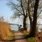 mein bankgeheimnis: frühling miteinander