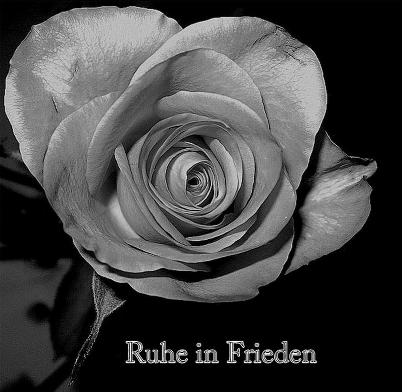 Mein Beileid - Foto & Bild | allgemein Bilder auf fotocommunity