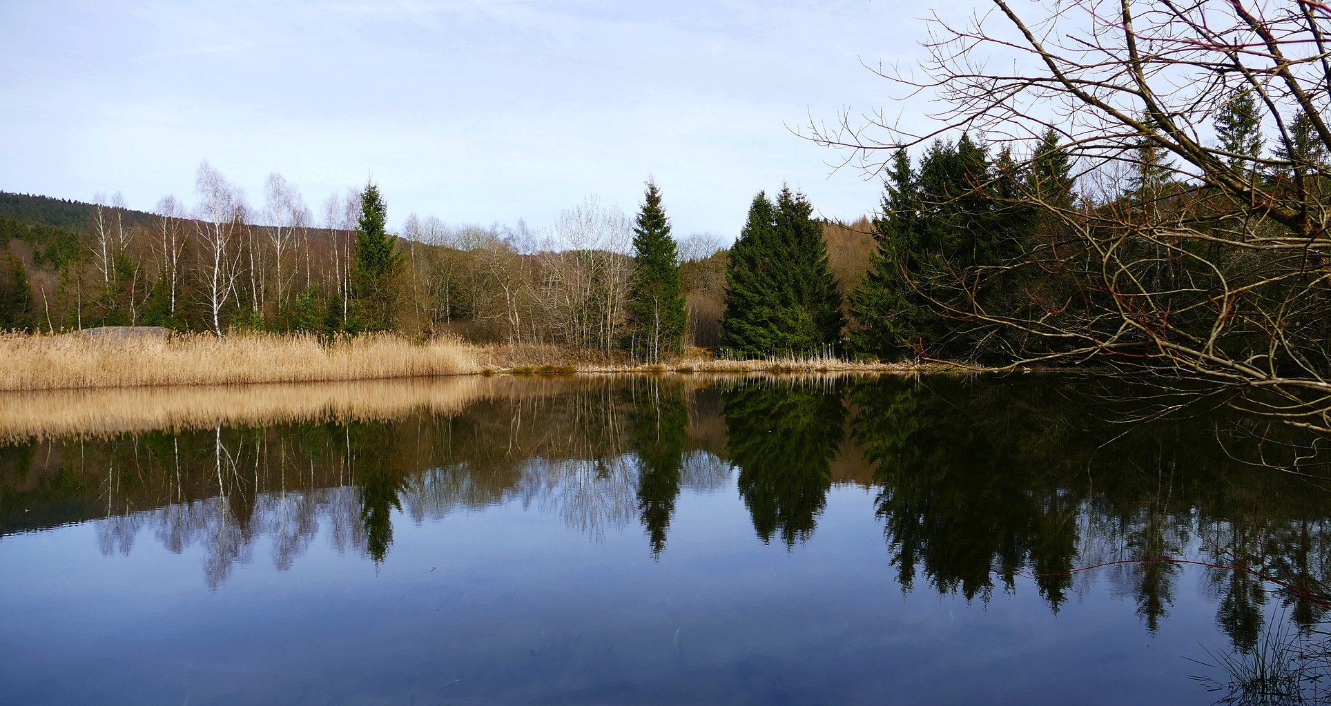 Mein Beitrag Spiegeltag...14.03.17