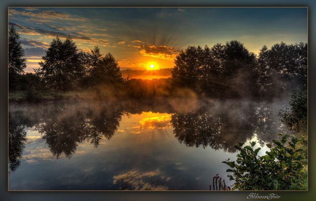 mein Beitrag zum Spiegeltag am 21.09.2021
