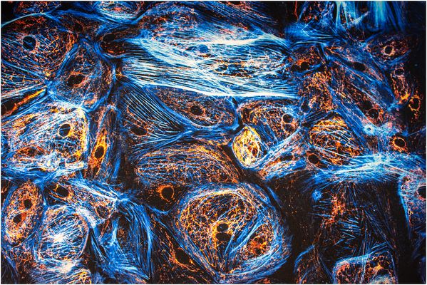 Mein Beitrag zum Thema Abstrakt