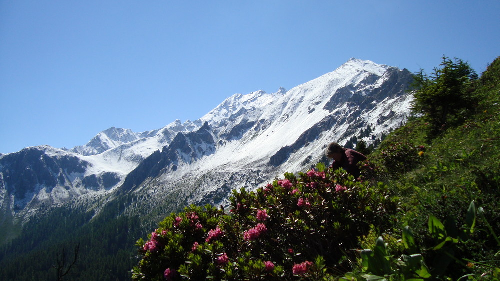 Mein Berg der Piz Mitgel