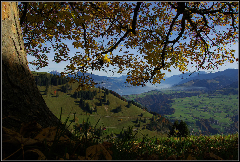 mein berner oberland...