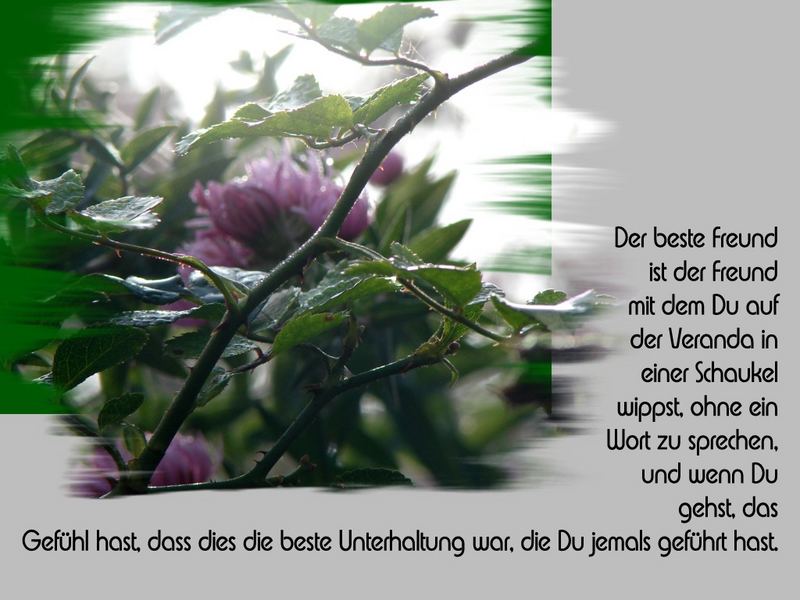 Mein bester Freund Foto &amp; Bild karten und kalender, fotokalender, karten 2006 Bilder auf