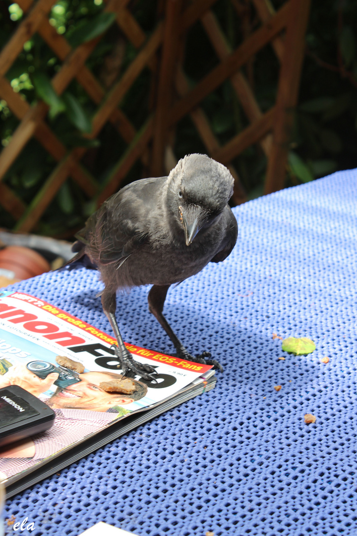 Mein Besuch am Sonntag