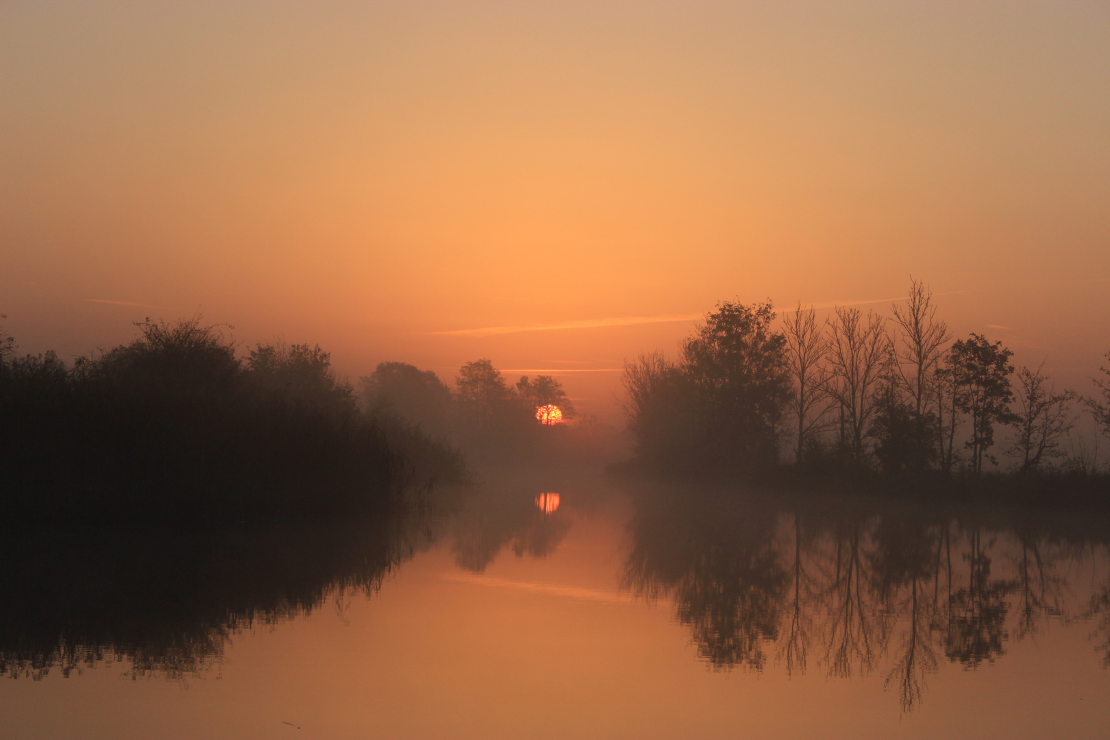 Mein Bibersee erwacht