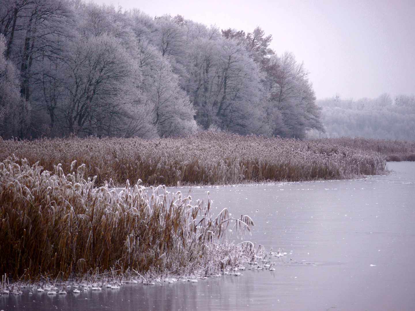 "Mein" Blankensee ; heute 