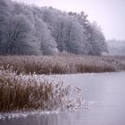 "Mein" Blankensee ; heute 