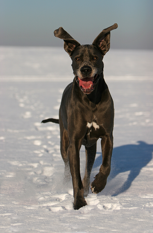 Mein blauer Edelstein... für Jutta ;o)