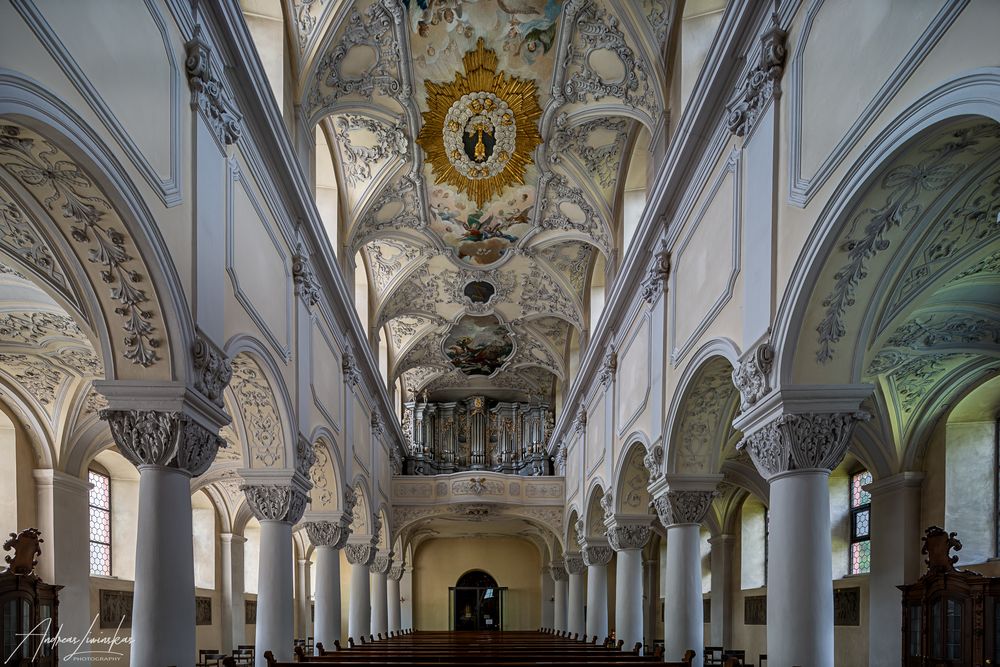 Mein "Blicik zur Orgel" in der Klosterkirche St.Michael Zell am Main 