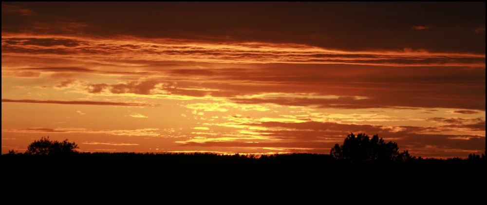 Mein Blick aus den Fenster....