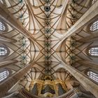 Mein "Blick nach Oben " im Freiberger Dom