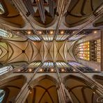 Mein "Blick nach oben" im Kölner Dom