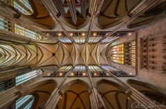 Mein "Blick nach oben" im Kölner Dom