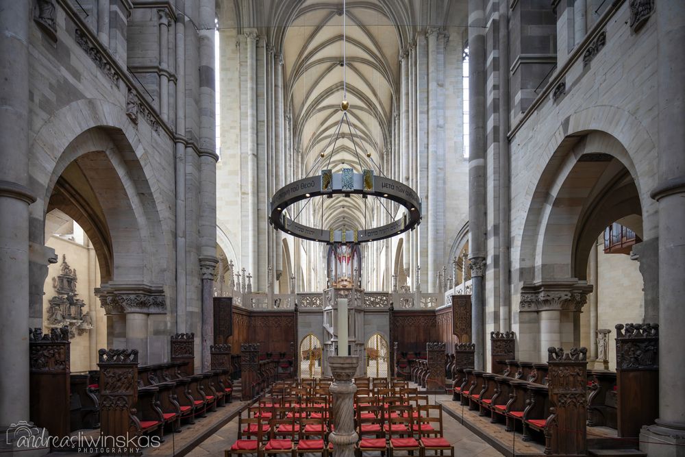  Mein" Blick nach Westen " im Dom zu Magdeburg