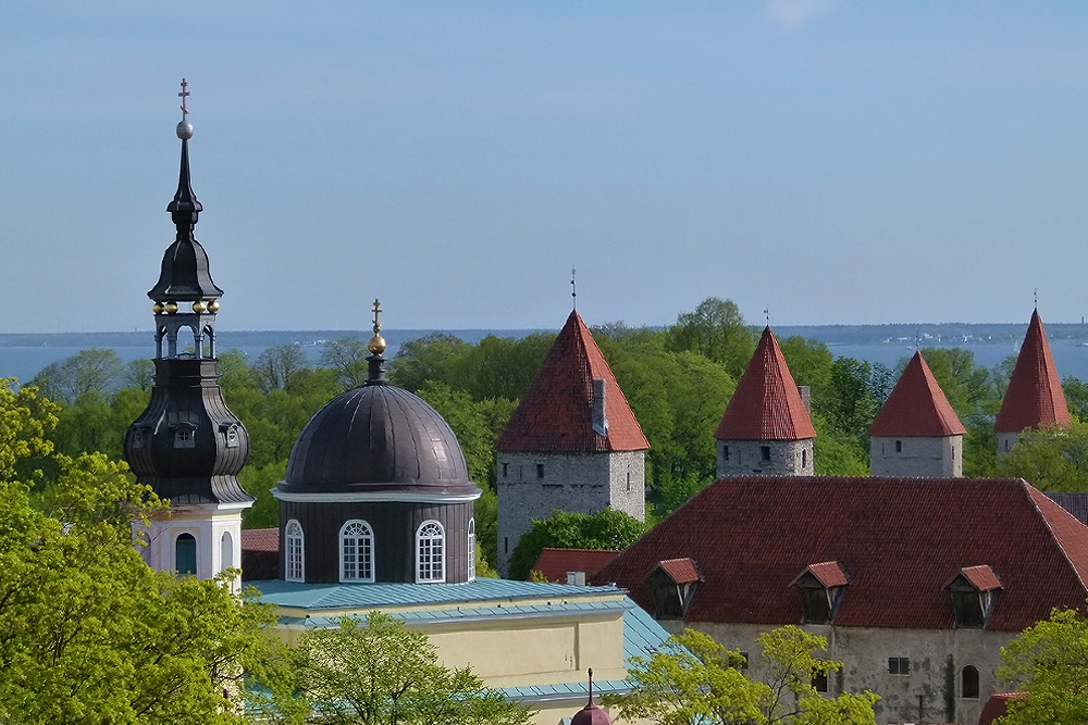 Mein Blick über Tallinn