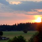 Mein Blick vom Balkon bevor die Sonne schlafen ging...