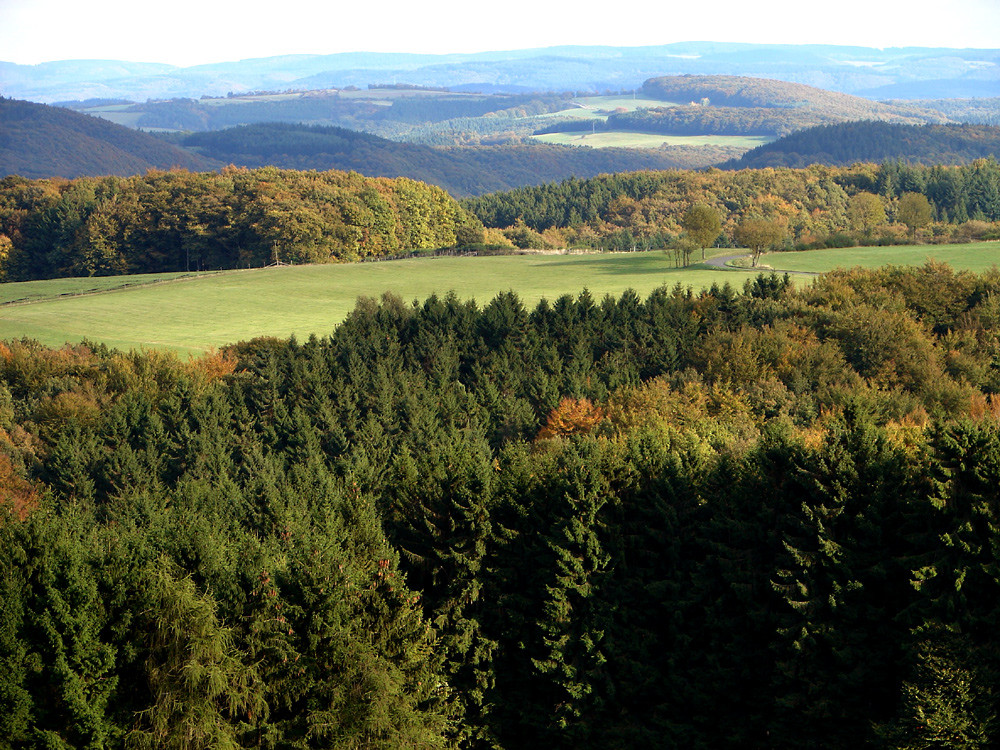 Mein Blick vom Hochsitz