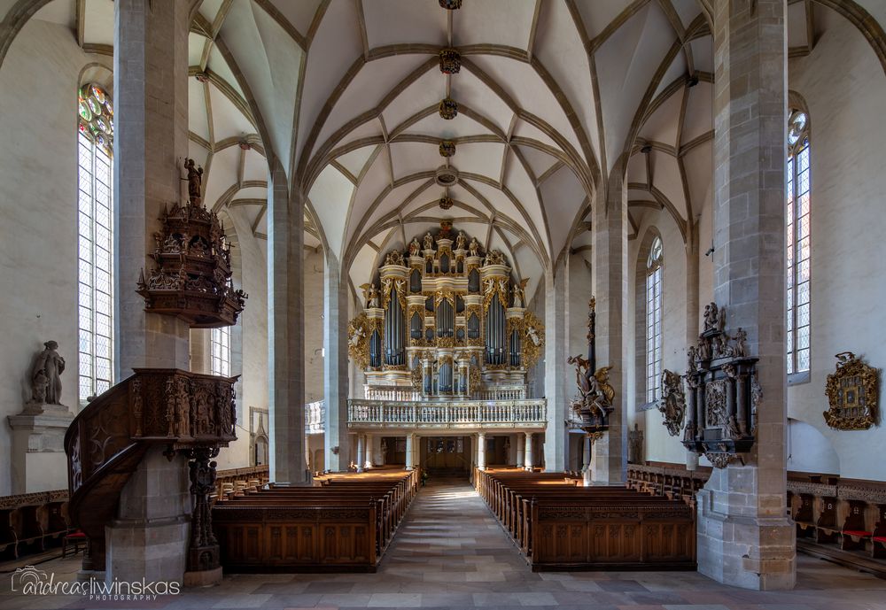  Mein "Blick zur Orgel" im Merseburger Dom