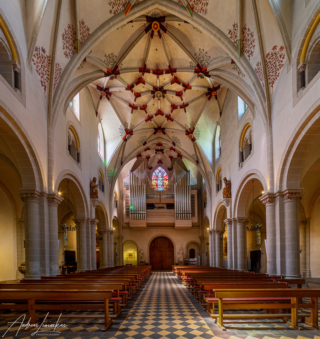 Mein "Blick zur Orgel" in der Basilika St. Kastor (Koblenz)