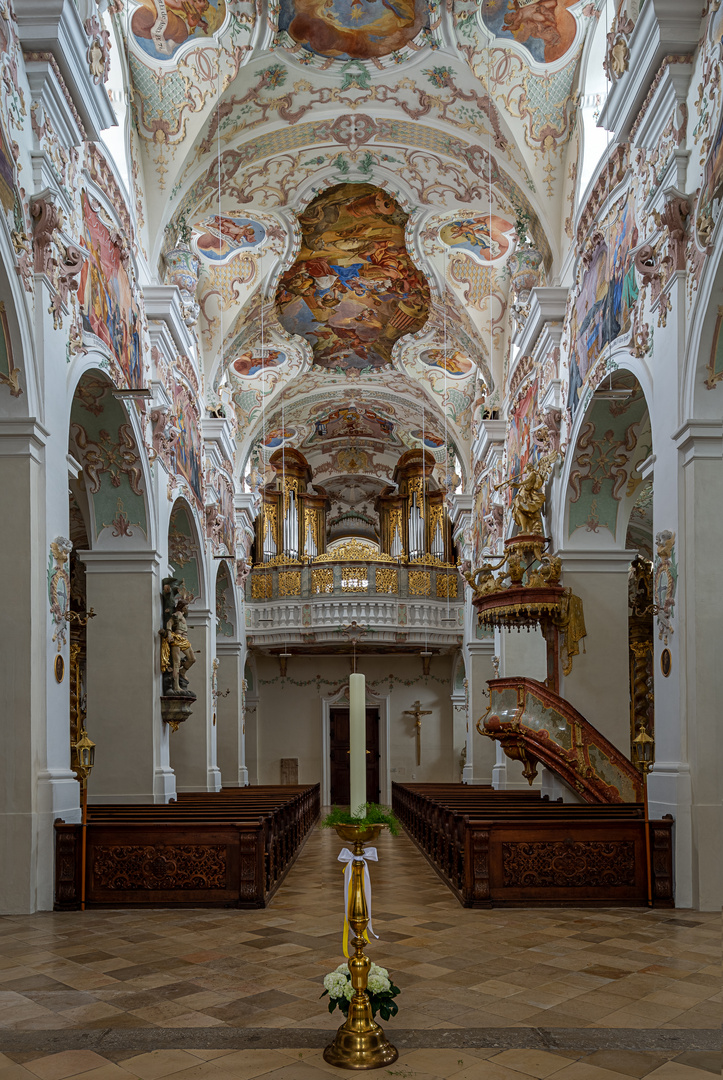 Mein "Blick zur Orgel" in der Klosterkirche Maria Himmelfahrt (Reichenbach)