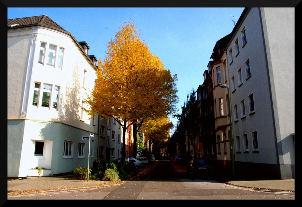 Mein Block #4 - Einstürzende Nachkriegsbauten