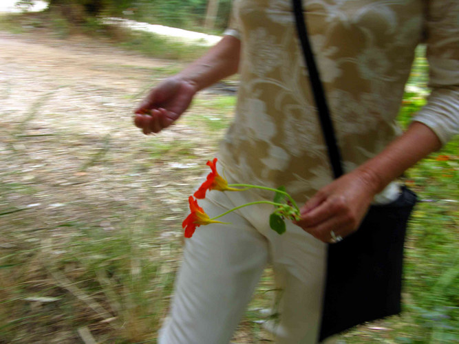 Mein Blumenmädchen von Heinz van Wasen