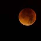 Mein Blutmond über Riehen am 28.09.2015