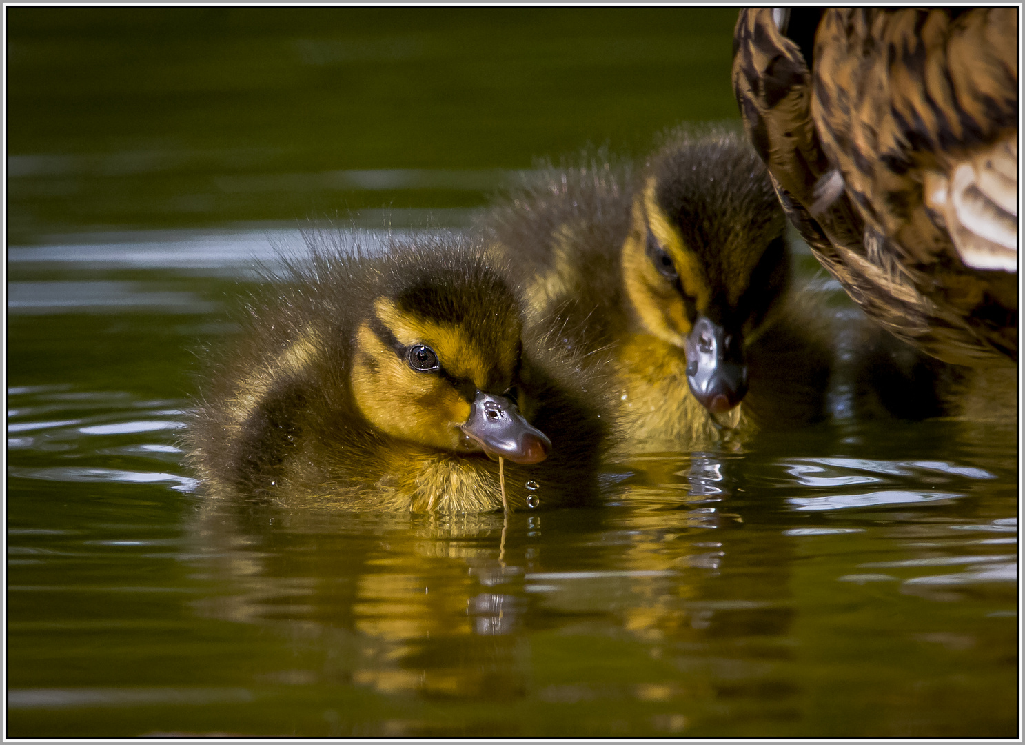 ..mein Bruder und ich..!