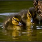 ..mein Bruder und ich..!