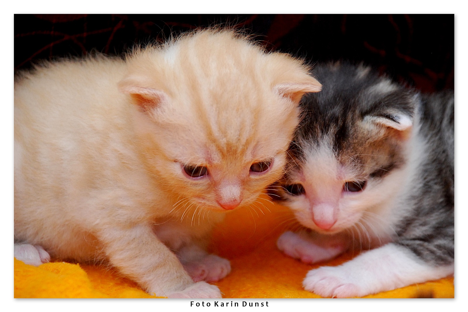 mein Bruder und ich....