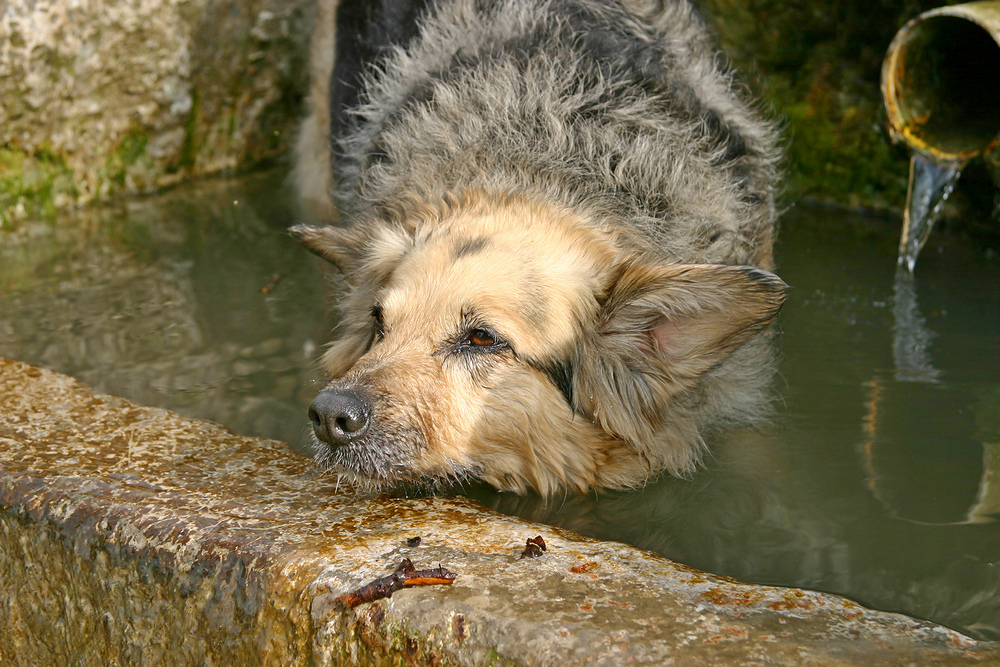 ...mein Brunnen !!!