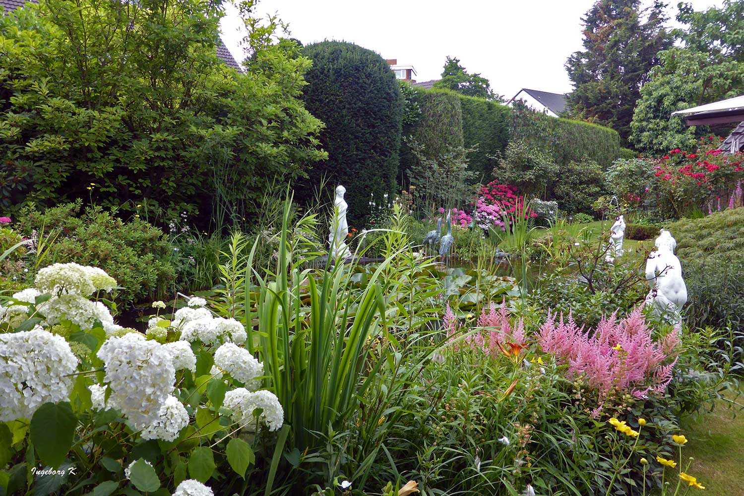 mein bunter Garten im Juli nach dem Regen