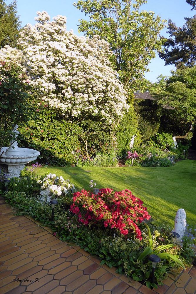 mein bunter Garten im Mai Foto & Bild pflanzen, pilze