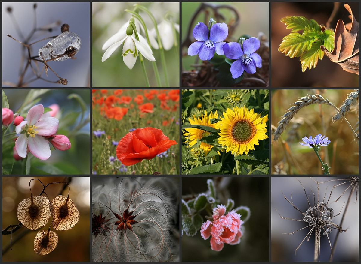 Mein buntes, lichtvolles Jahr!