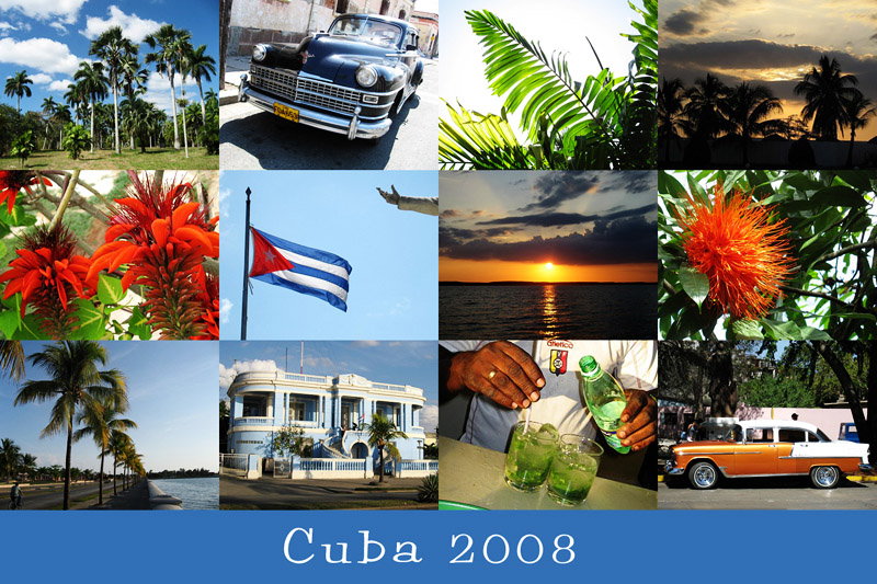 Mein Cuba 2008