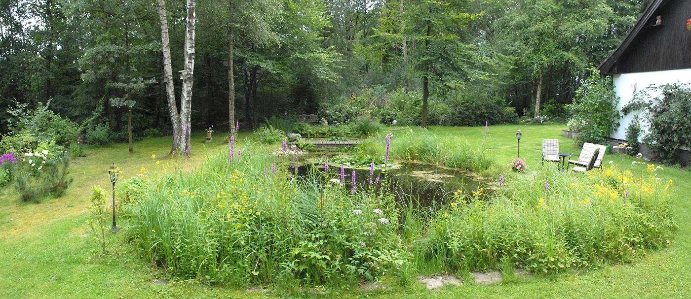 Mein derzeitiges Reha-Sanatorium