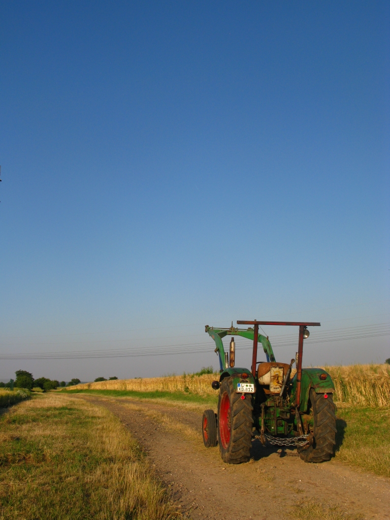 Mein Deutz D4005 in der Abendsonne