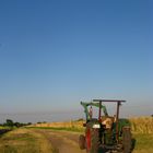 Mein Deutz D4005 in der Abendsonne