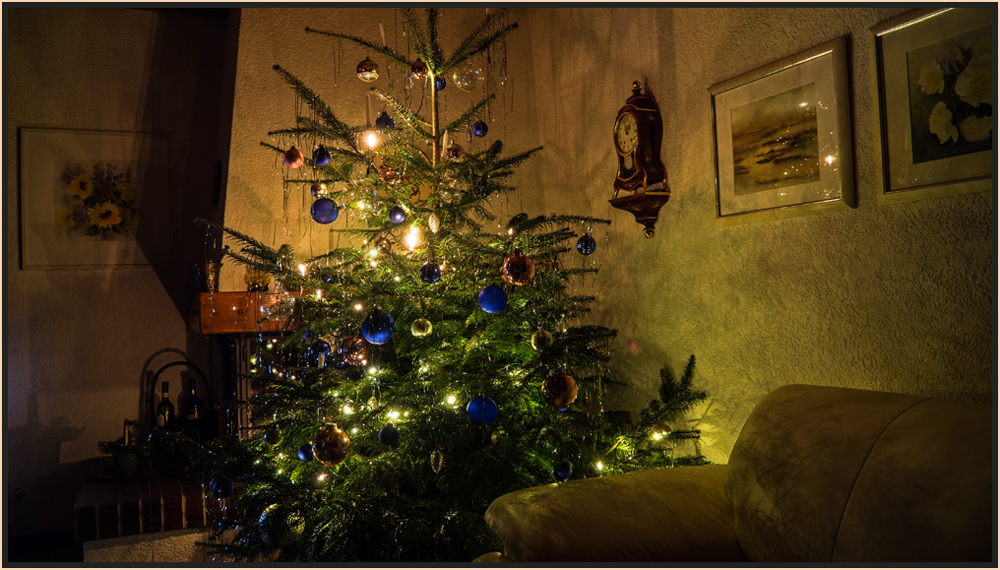 Mein diesjähriger Weihnachtsbaum