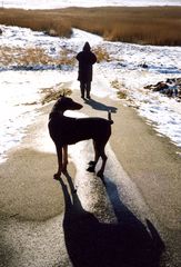 Mein Dobermann. 