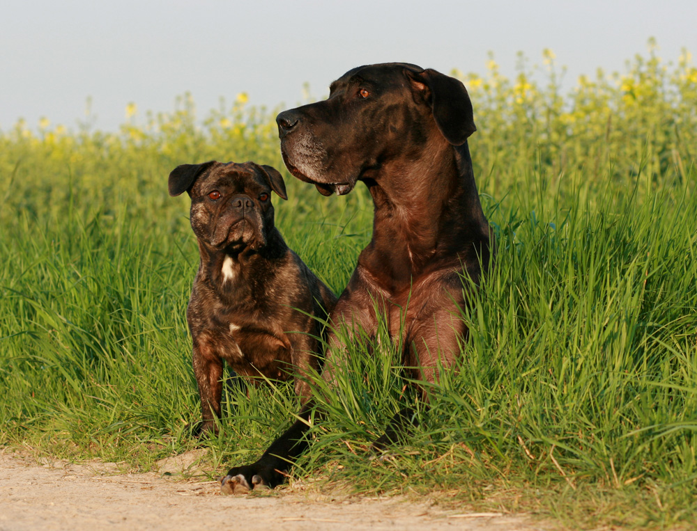 Mein Doppelpack